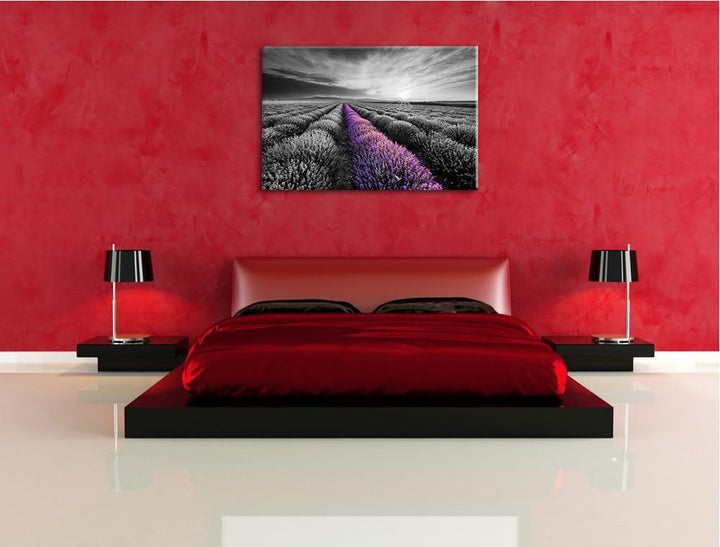 Lavendelfeld in der Provence schwarz/weiss Format: 100x70 auf Leinwand, XXL riesige Bilder fertig ge