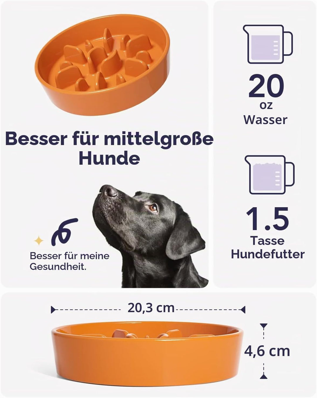 LE TAUCI Hundenapf aus Keramik, Antischlingnapf für Mittelgrosse und Kleine Hunde, Langsam Fressen u