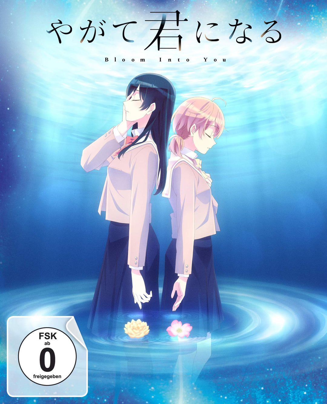 Bloom Into You - Volume 3 (Episode 9-13) im Sammelschuber, DVD