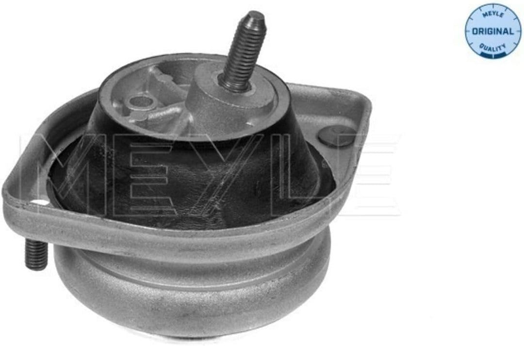 Meyle 300 221 1104 Lagerung, Motor