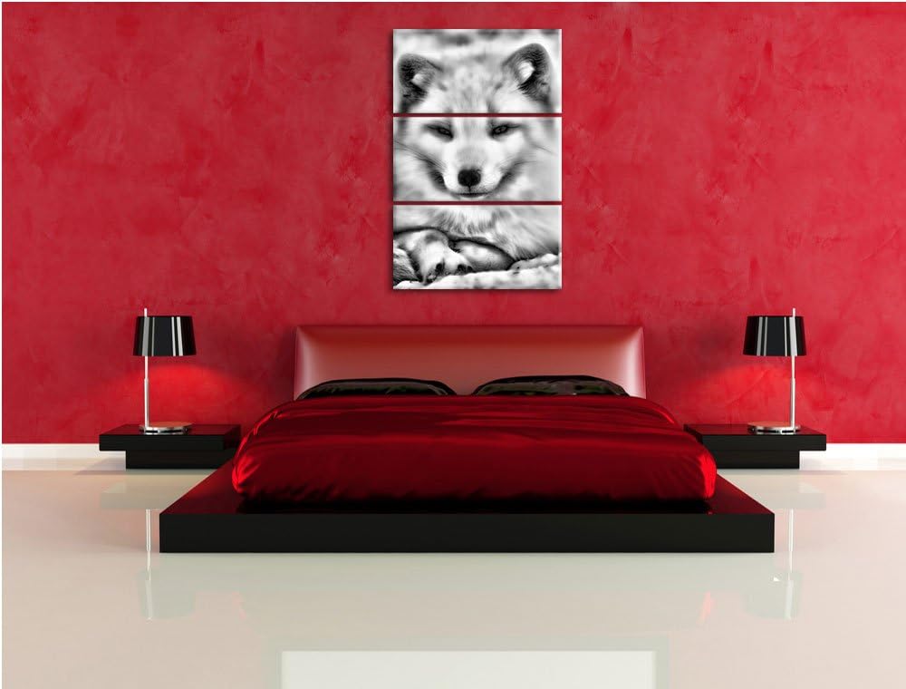 Pixxprint Monocrome, Weisser Fuchs 3-Teiler Leinwandbild 120x80 Bild auf Leinwand