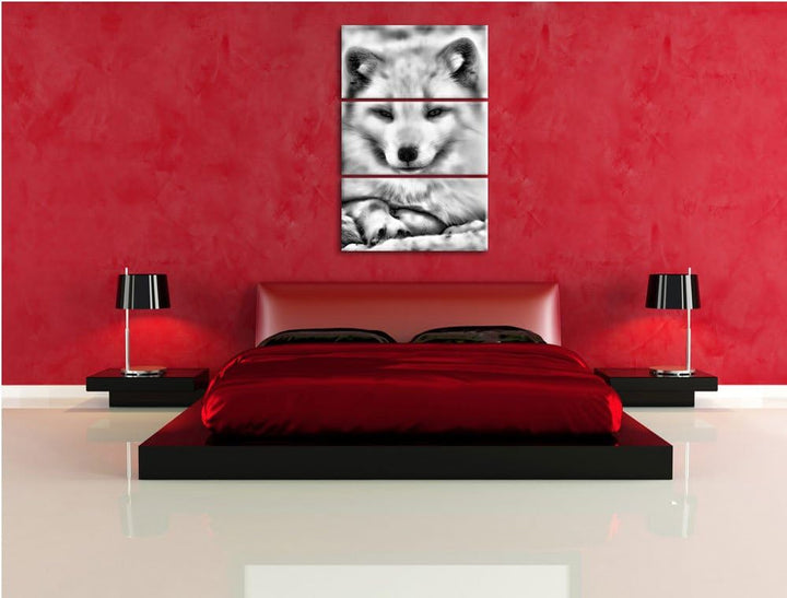 Pixxprint Monocrome, Weisser Fuchs 3-Teiler Leinwandbild 120x80 Bild auf Leinwand