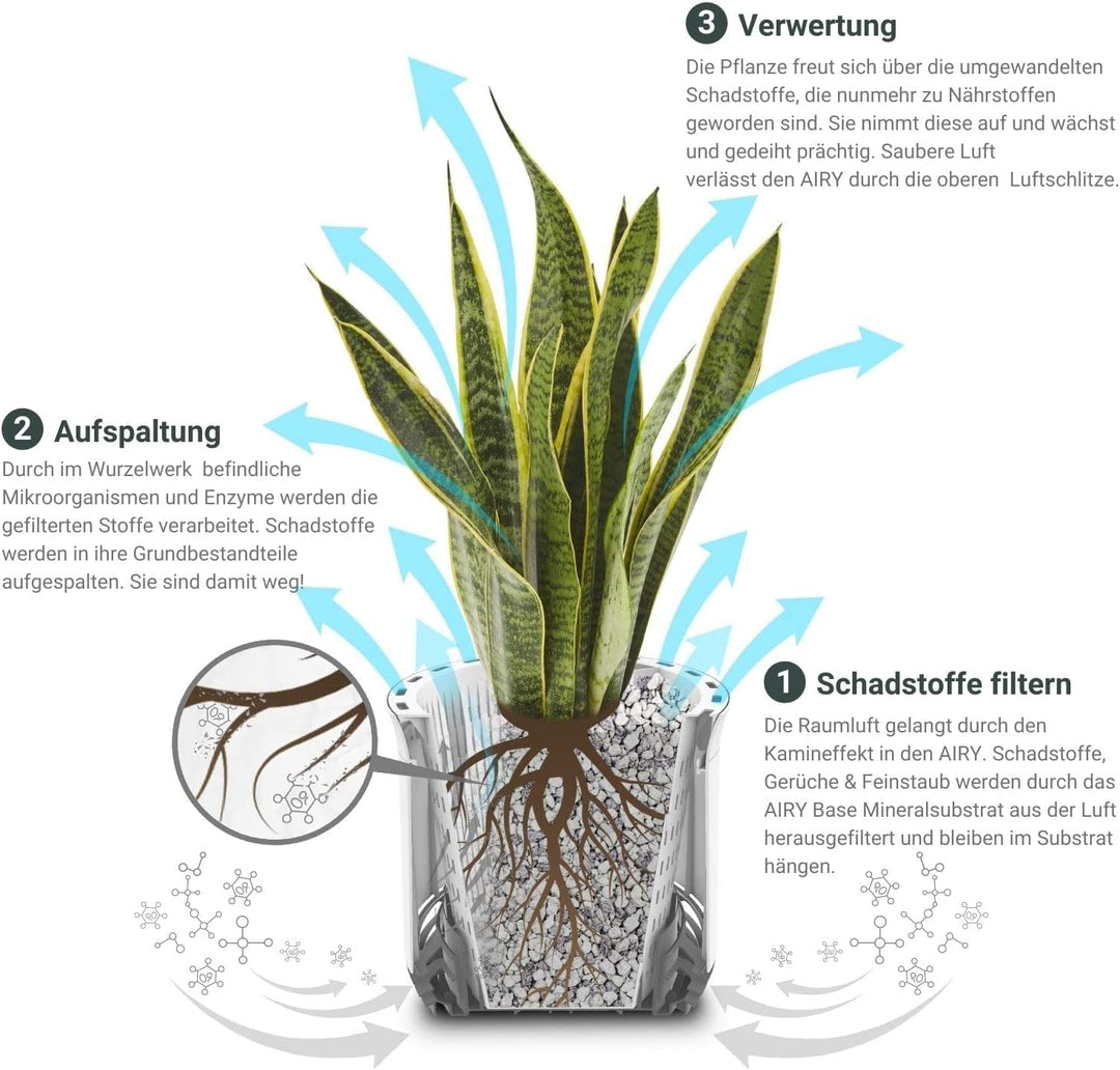 AIRY Luftreiniger System S inkl. Bogenhanf &amp; 3-Liter Airy Base • Natürlicher Luftfilter beseitigt Sc