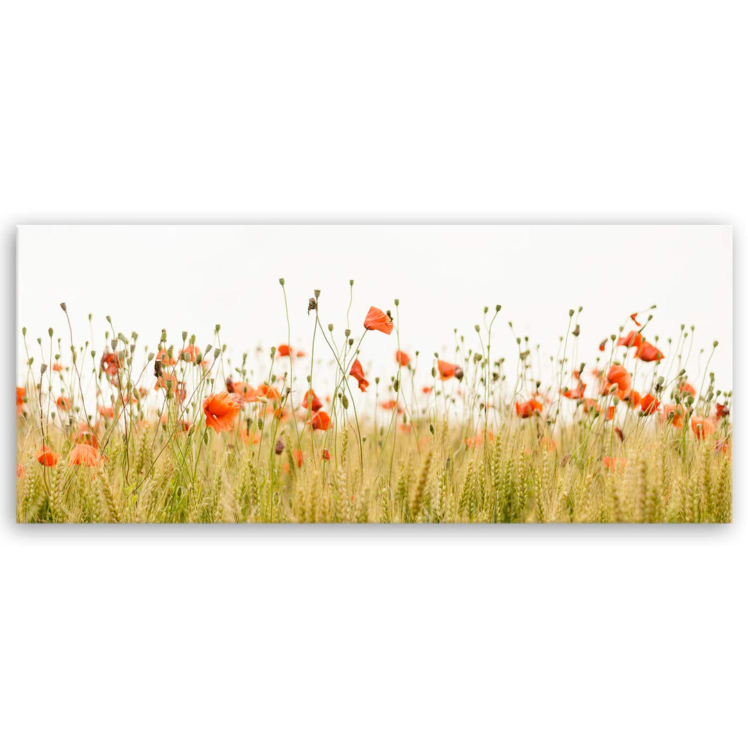 ge Bildet Bild auf Leinwand | Mohnfeld in 120x50 cm als Panorama Wandbild XXL | Wand-deko Dekoration