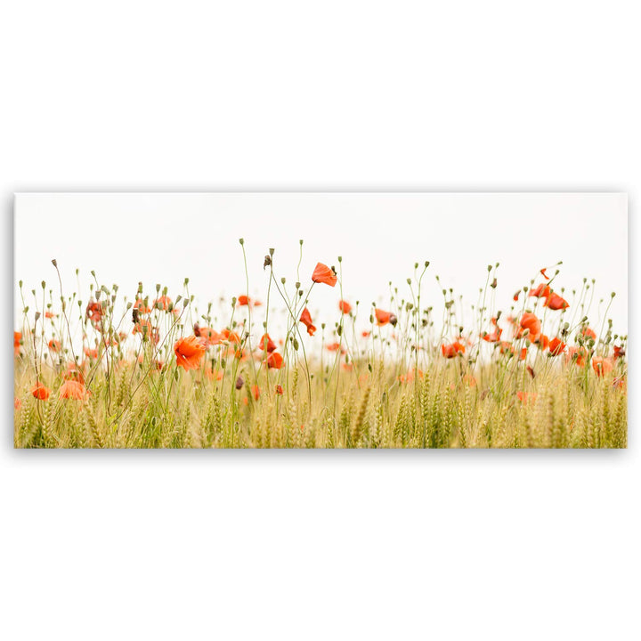 ge Bildet Bild auf Leinwand | Mohnfeld in 120x50 cm als Panorama Wandbild XXL | Wand-deko Dekoration