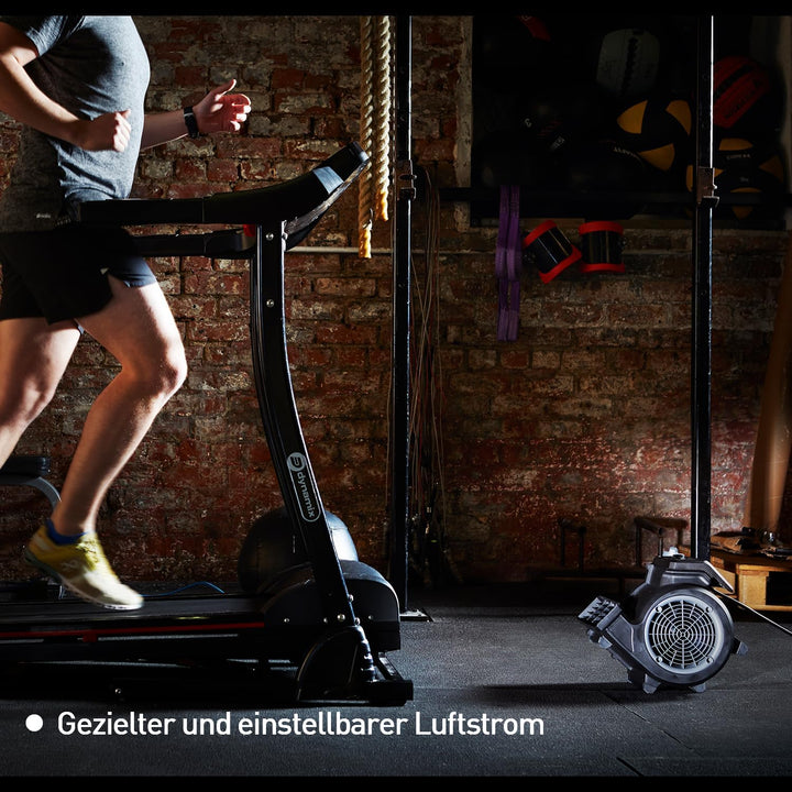 Vacmaster AM1202R Cardio54 Gym Bodenventilator mit Fernbedienung Fahrradlüfter Lautlos Lüfter