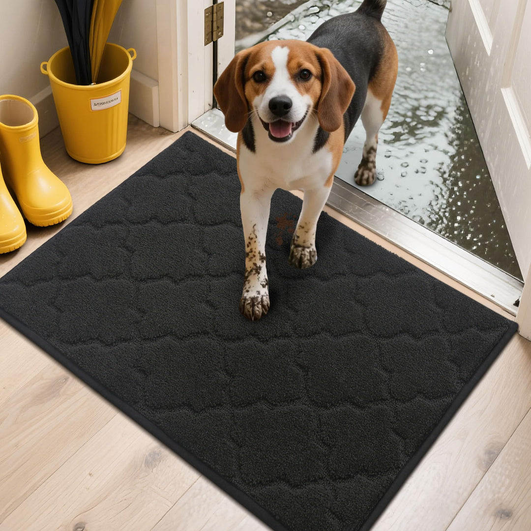 COSY HOMEER Fussmatte Innen 50 x 80 cm, Schmutzfangmatte Schwarz 50 x 80 cm (Rechteckig) Schwarz, 50