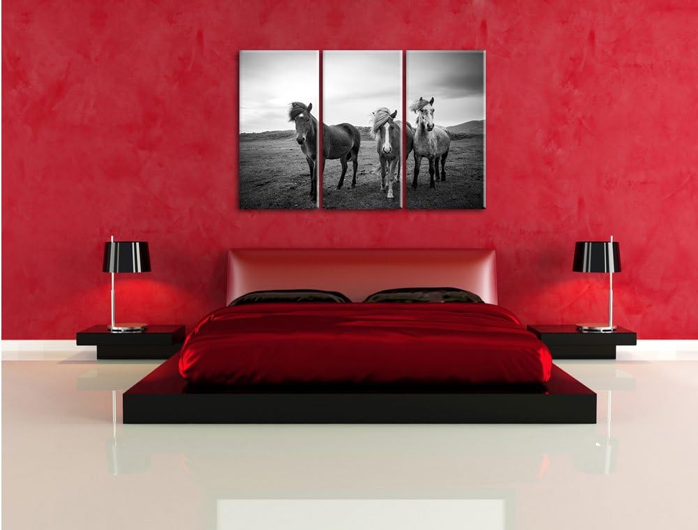 Pixxprint DREI Wilde Islandpferde Schwarz/Weiss 3-Teiler Leinwandbild 120x80 Bild auf Leinwand