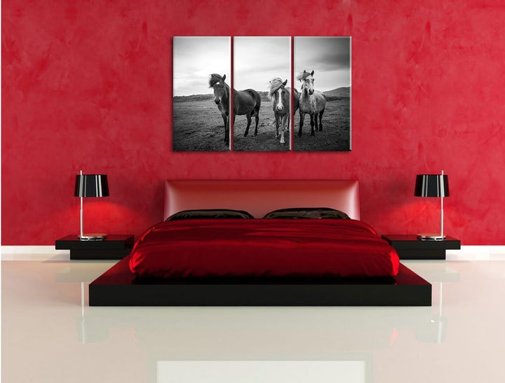 Pixxprint DREI Wilde Islandpferde Schwarz/Weiss 3-Teiler Leinwandbild 120x80 Bild auf Leinwand