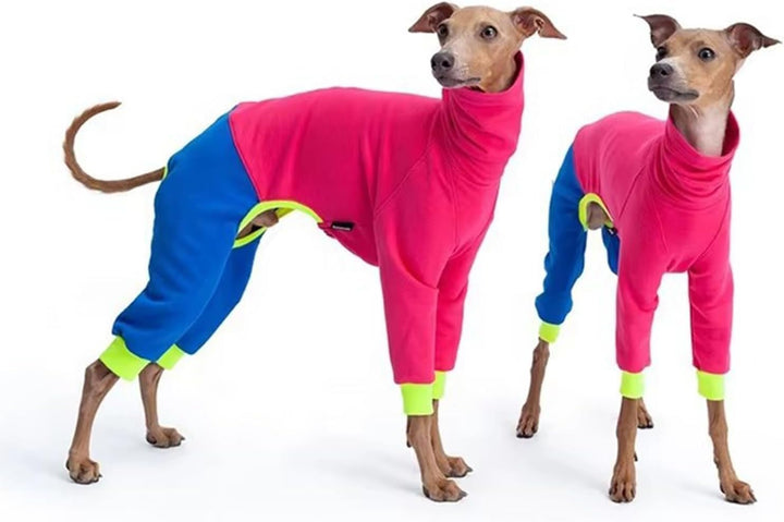 Windhund-Winterkleidung, elastisch, Whippet, vierbeinig, Fleece-Mantel, schlanker Hund, kaltes Wette