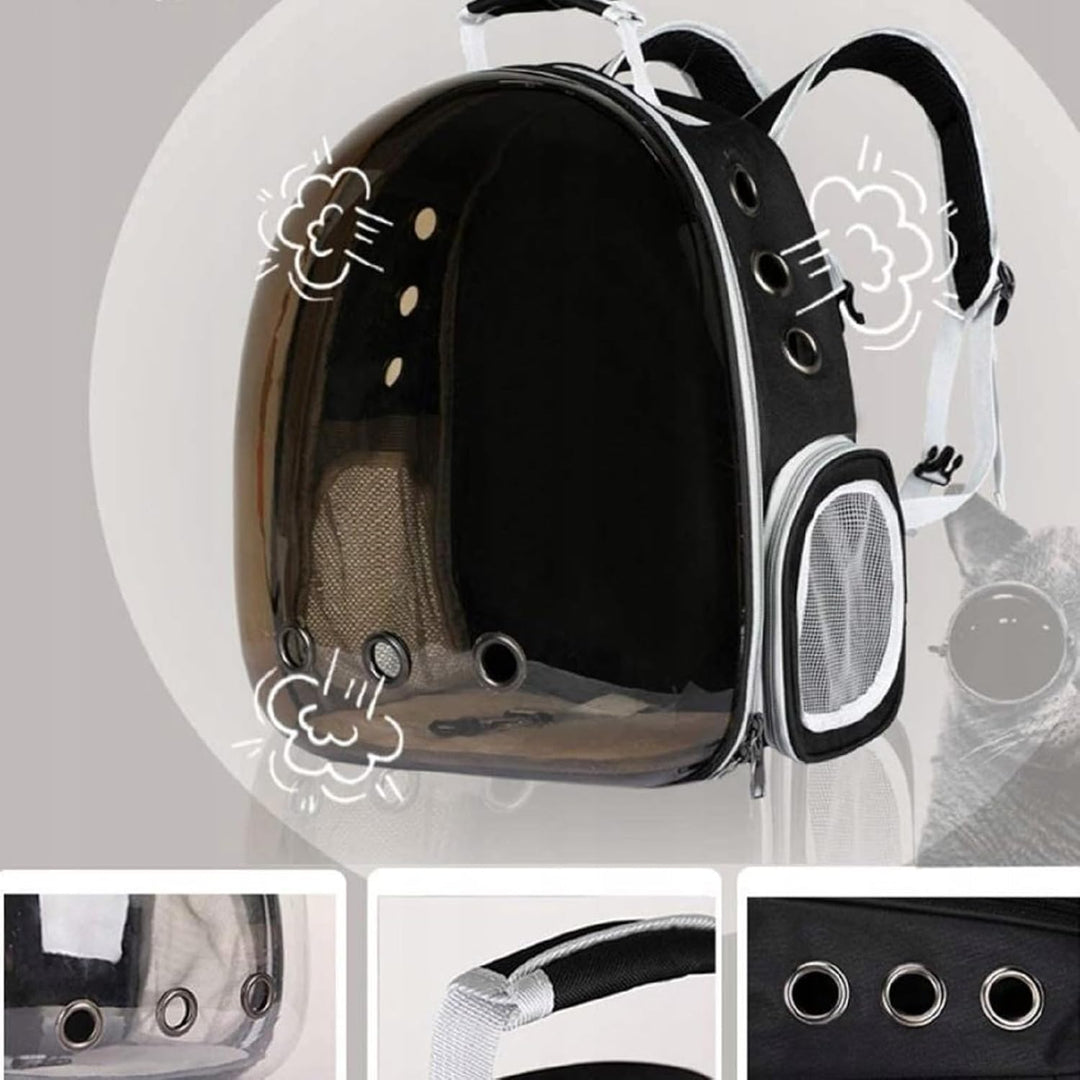QLS Katzenrucksack – 40x30x28 cm – Transporttasche mit Belüftungslöchern für Katzen und kleine Hunde