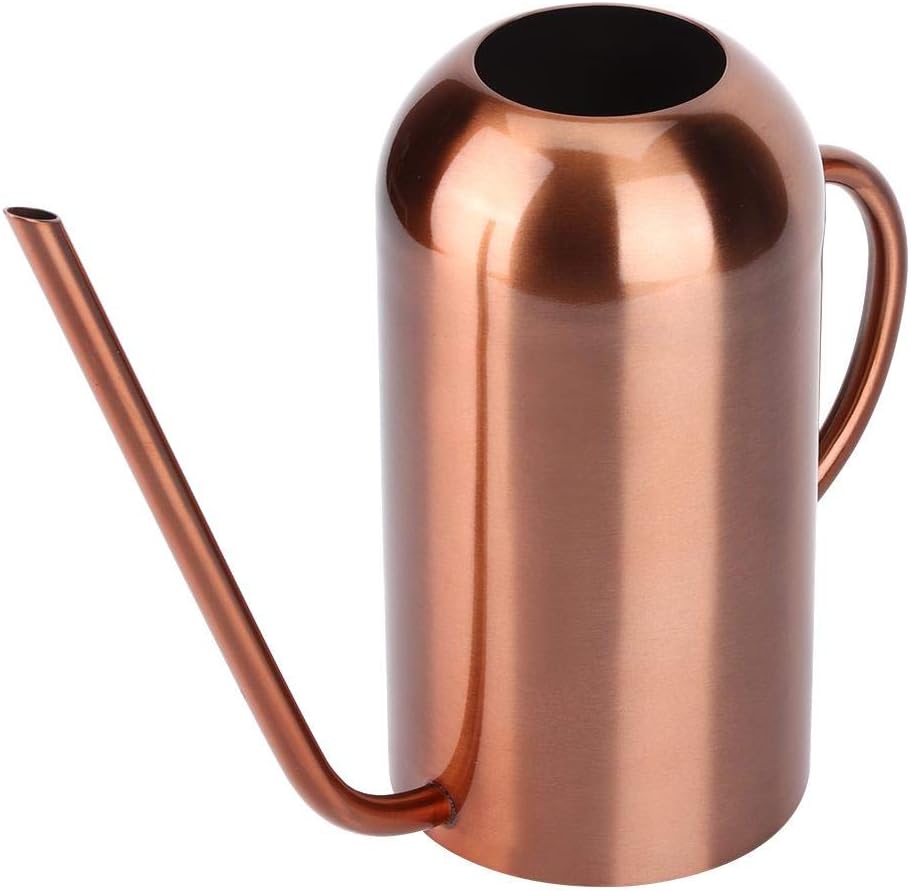 1.5l Edelstahl giesskanne Indoor für Kinder Haus Schreibtisch büro Pflanzen Bonsai streuen Topf Lang