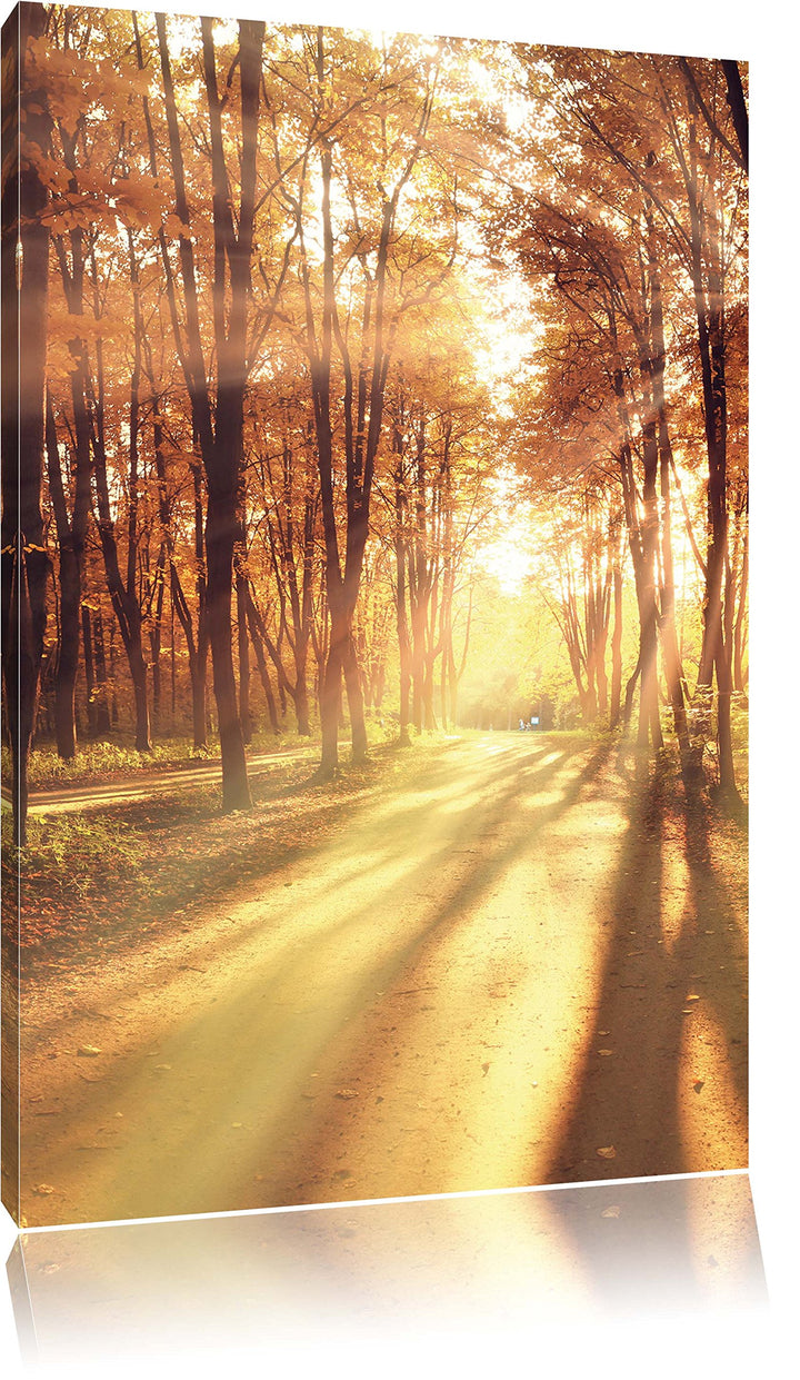 Baumallee im Herbst, Format: 100x70 auf Leinwand, XXL riesige Bilder fertig gerahmt mit Keilrahmen,