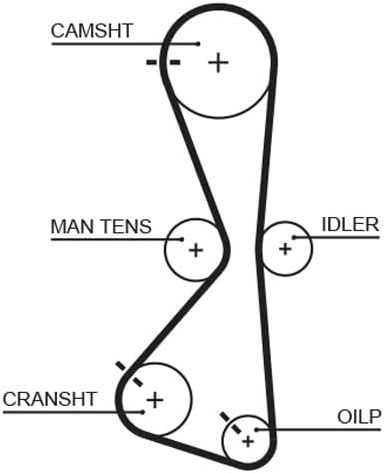 GATES Steuerriem 5609XS