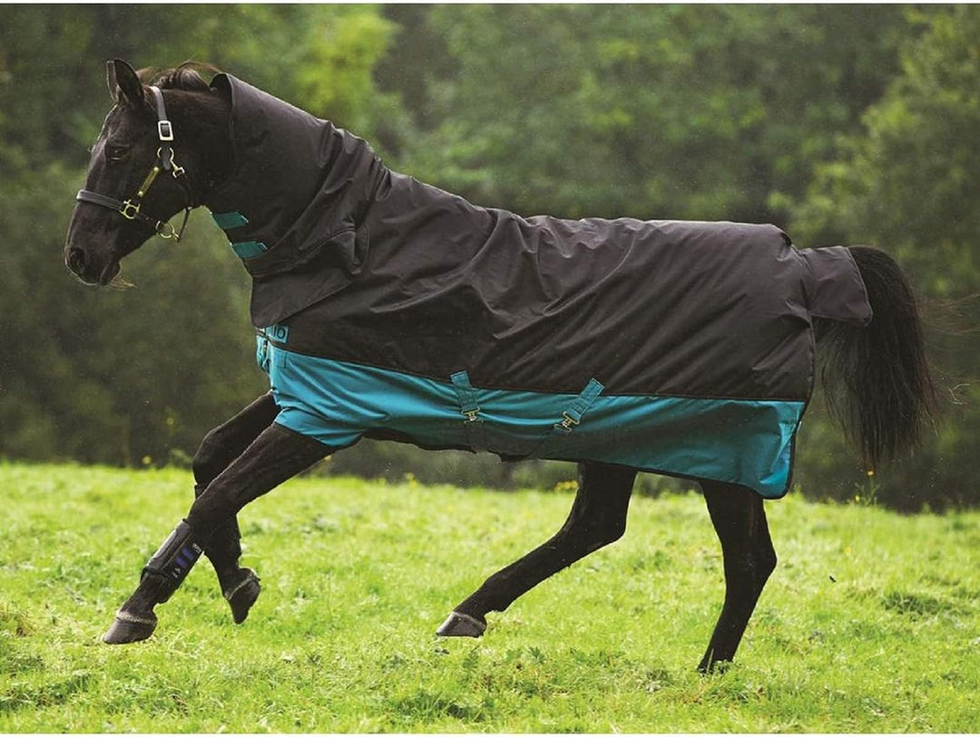 Horseware Amigo Mio All-In-One medium 200 Gramm Black Turquoise Winterdecke 130, 130