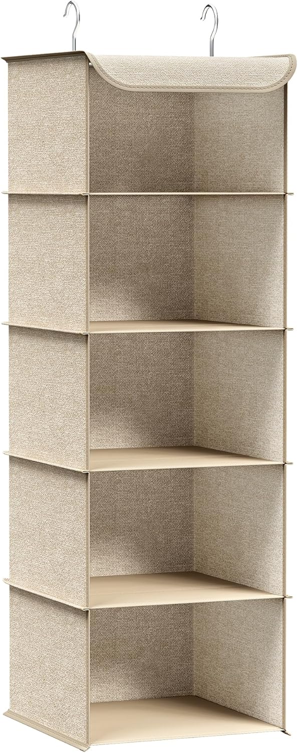 SONGMICS Hängeorganizer, Schrank-Organizer, Hängeregal, Hängeaufbewahrung, faltbar und platzsparend,