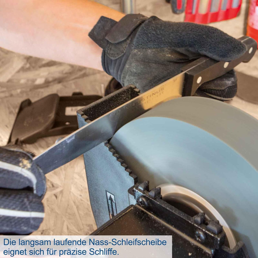 Scheppach Profi Nassschleifer Trockenschleifer BG200W mit Induktionsmotor | 230V 250W - Ø200mm Schle