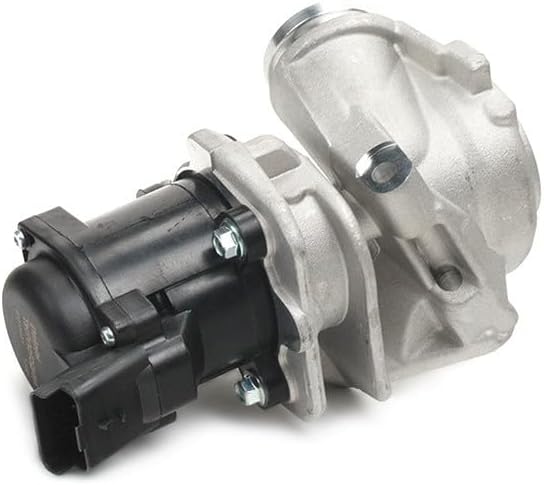Delphi Agr-Ventil EG10401-12B1