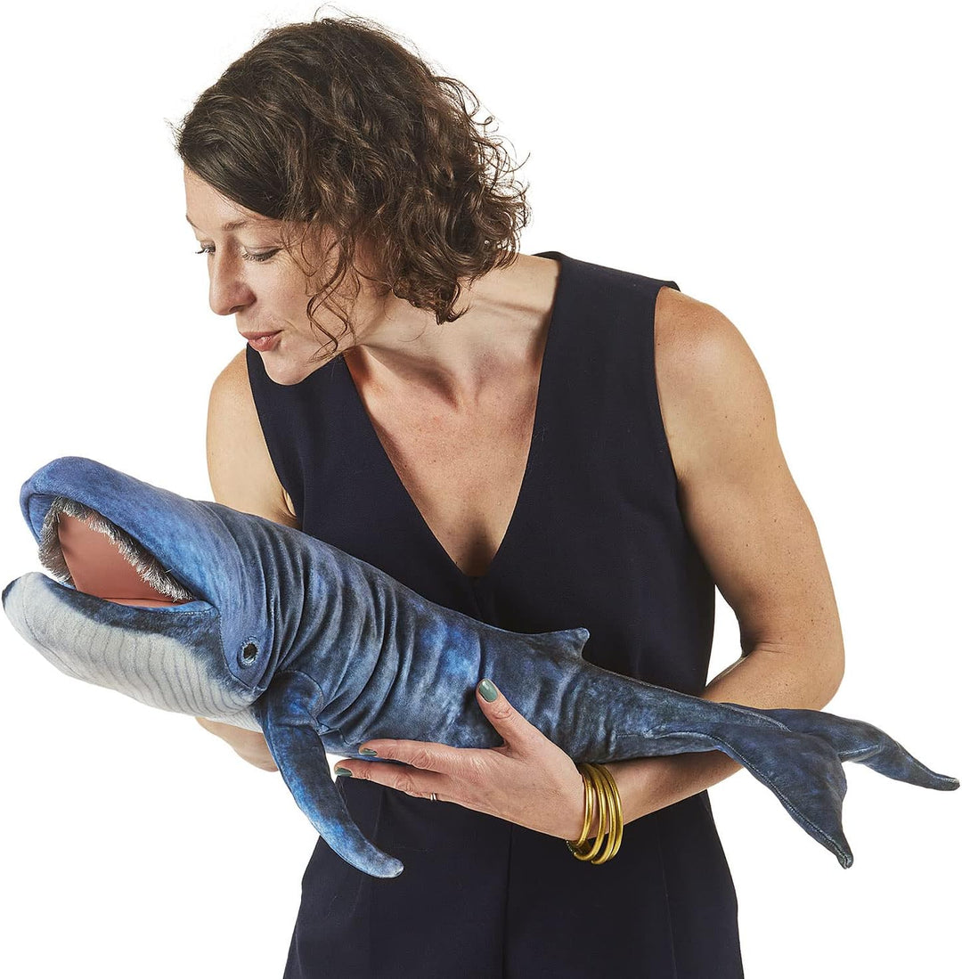 Blauwal/Blue Whale