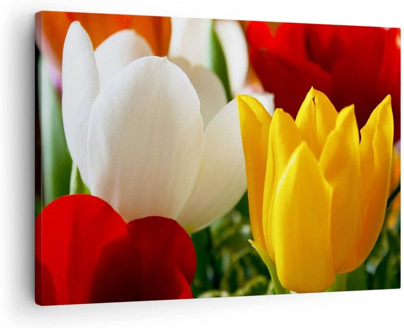 Bilder auf Leinwand Tulpen Vase Blumenstrauss Leinwandbild 70x50cm Wandbilder Dekoration Wohnzimmer