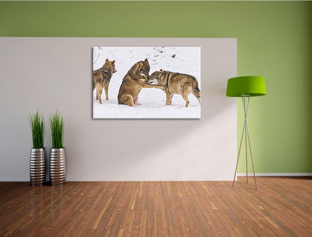Pixxprint spielendes Wolfsrudel auf Leinwand, XXL riesige Bilder fertig gerahmt mit Keilrahmen, Kuns