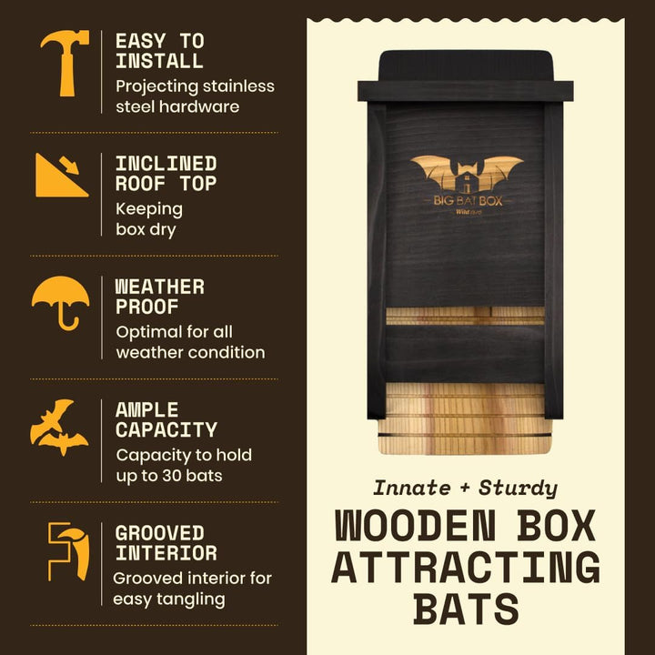 Bat House for Outdoors - Der Komplette Fledermauskasten für den Aussenbereich - Säubere deinen Garte