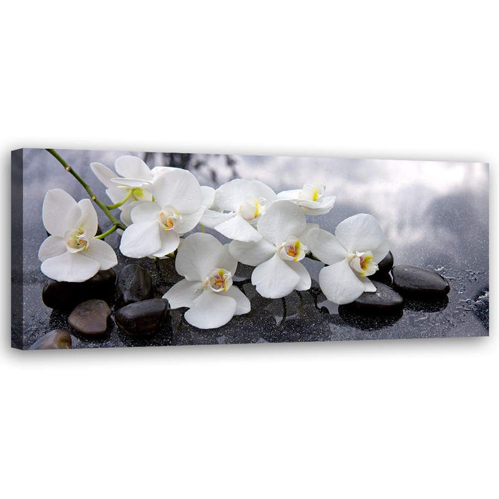 Feeby Wanddeko Orchideen Leinwandbild Kunstdruck Steine Grau 120x40 cm Leinwandbild 120x40 cm Grau_a