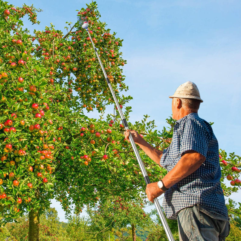 MaidMAX Obstpflücker mit Teleskopstiel aus Edelstahl 4 Meter, Apfelpflücker mit Gelenk und Schaumsto