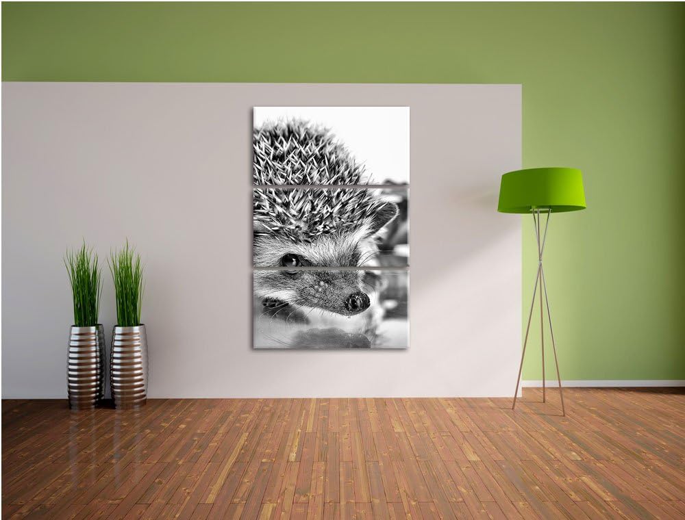 Pixxprint Süsser Igel als Leinwandbild/Grösse: 3 Teilig (120x80 cm) cm/Wandbild/Kunstdruck/fertig be