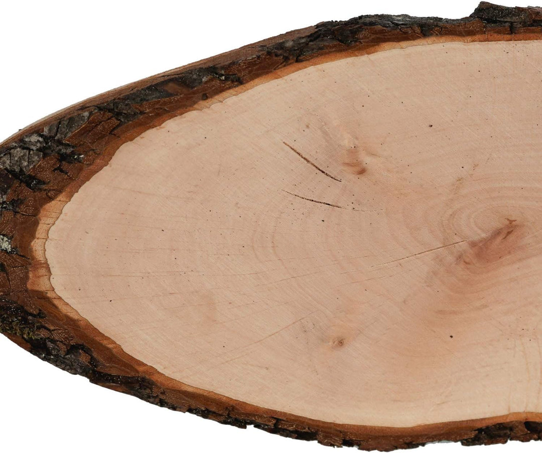 Bütic Holzscheibe Esche oval B-Ware - Rindenscheibe Baumscheibe geschliffen Holzbrett ca. 90cm lang,