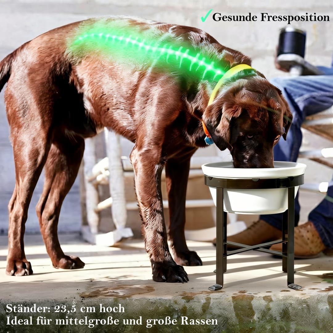 BestVida Erhöhter Hundenapf, Erhöhter Einzelnapfständer, Hundefutterstation mit 1x2400ml Steingutnap