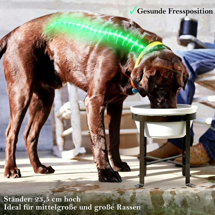 BestVida Erhöhter Hundenapf, Erhöhter Einzelnapfständer, Hundefutterstation mit 1x2400ml Steingutnap