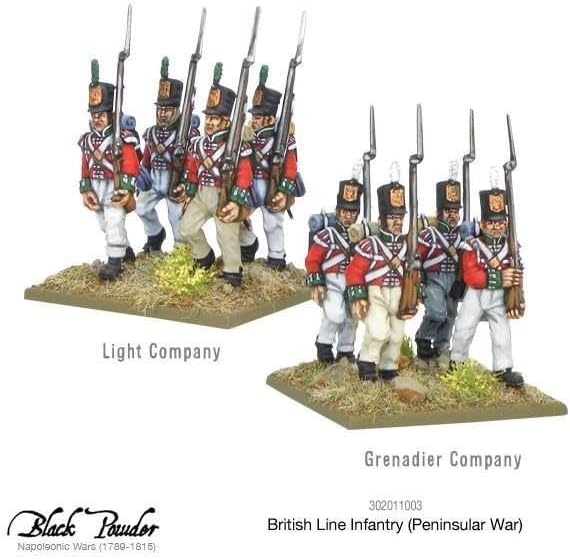 Peninsular War British Line Infantry - Black Powder