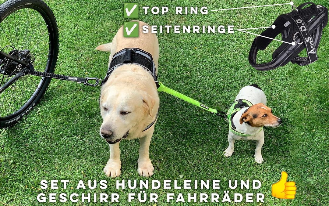 BIKE AND DOG - Hundeleine und Hundegeschirr für das Fahrrad, Geschirr mit 3 Ringen, Davon 2 seitlich
