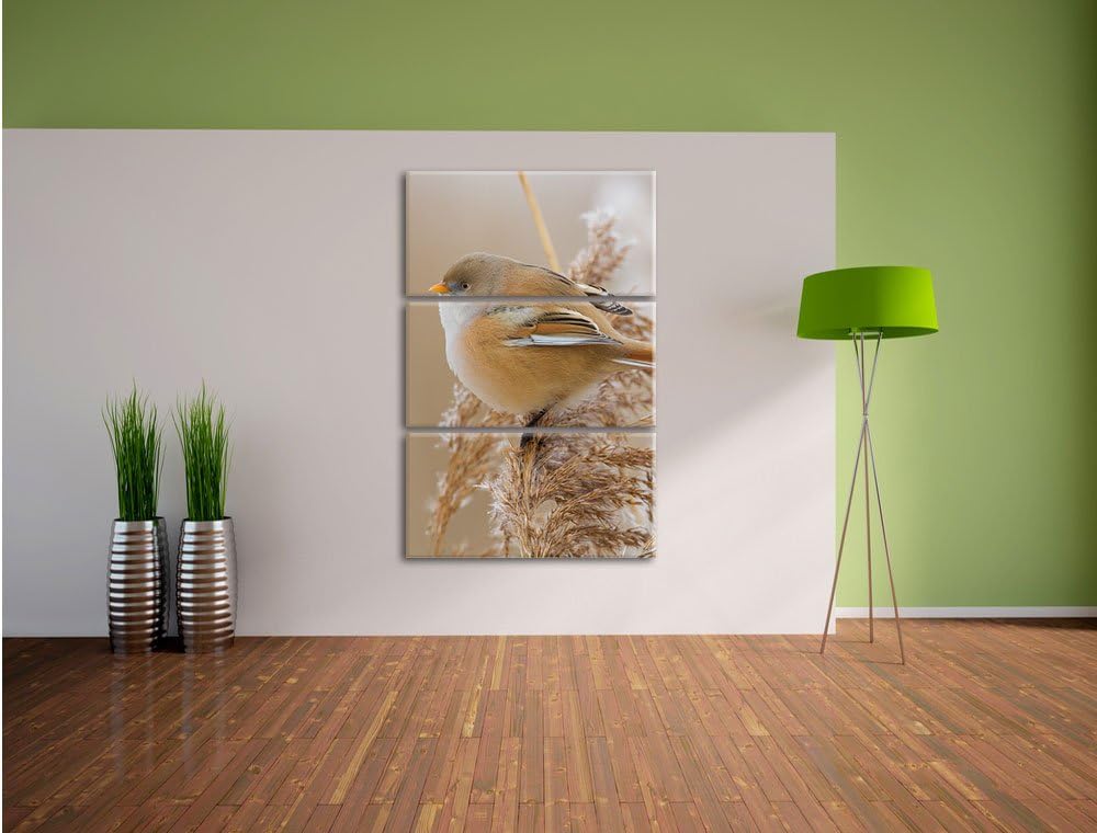 Pixxprint Kleiner Vogel auf Weizen als Leinwandbild 3 teilig/Grösse: 3 Teilig (120x80) / Wandbild/Ku