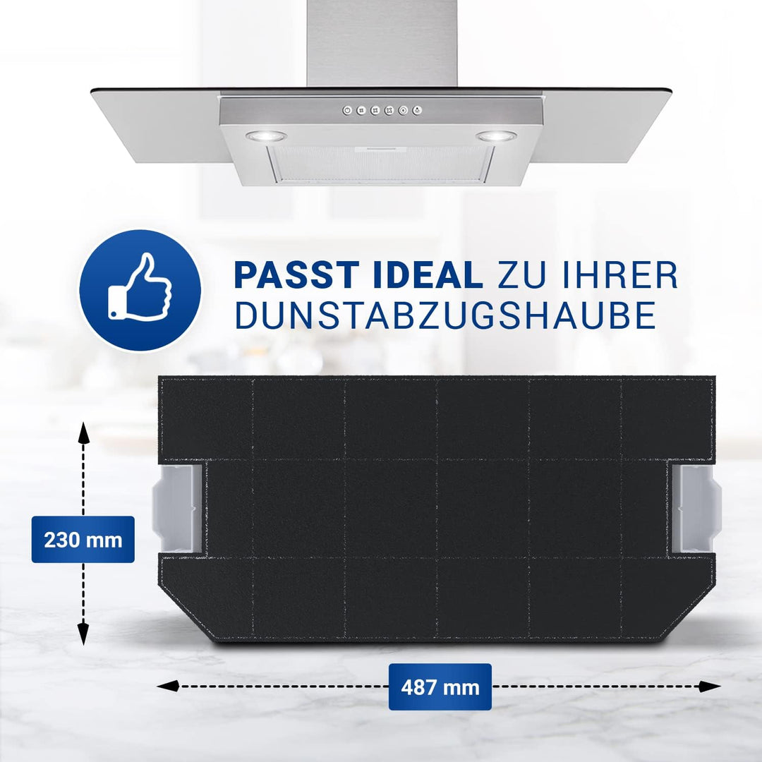 VIOKS Set 2x Kohlefilter Dunstabzugshaube 487x230 mm Ersatz für Bosch Filter 00460367 - Aktivkohlefi