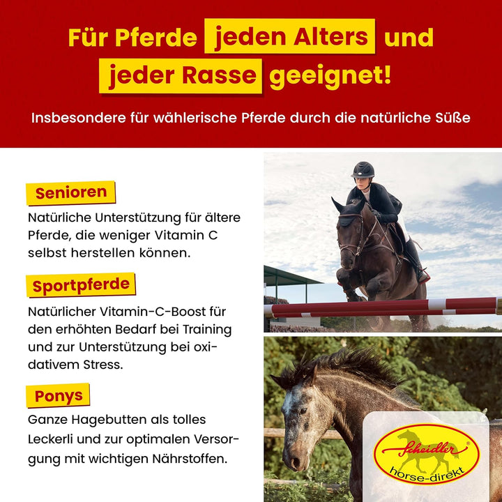 Scheidler horse-direkt Hagebutten getrocknet für Pferde 2kg – Ganze Hagebutte in Spitzenqualität – 1