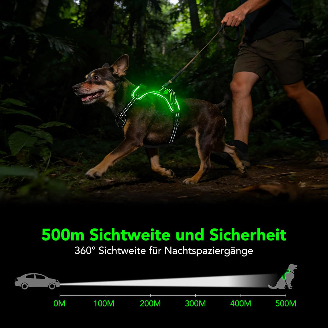 Hundegeschirr Leuchtend Wiederaufladbares Leuchtgeschirr für Hunde Led Beleuchtetes Hundegeschirr fü