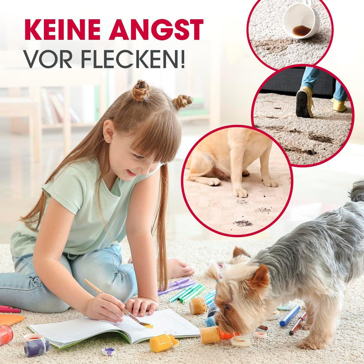 CLEANmaxx AquaStream Plus DUO Teppichreiniger | 3in1 Bodenreiniger für Teppich, Hartböden & als Pols
