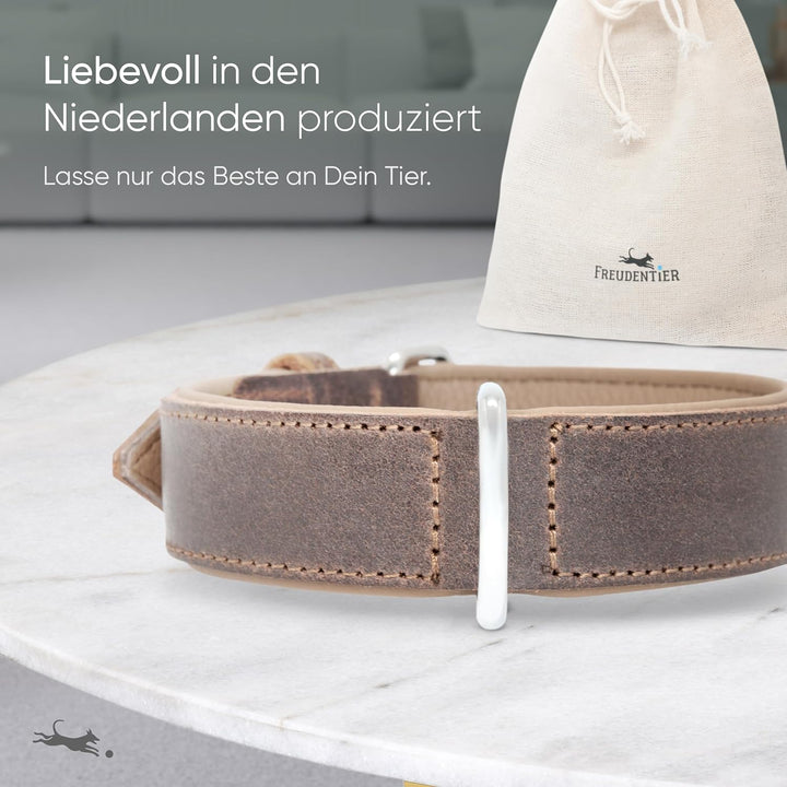 FREUDENTIER Hundehalsband aus zertifiziertem Leder - Inkl. Geschenksäckchen - Gepolstert & super kom