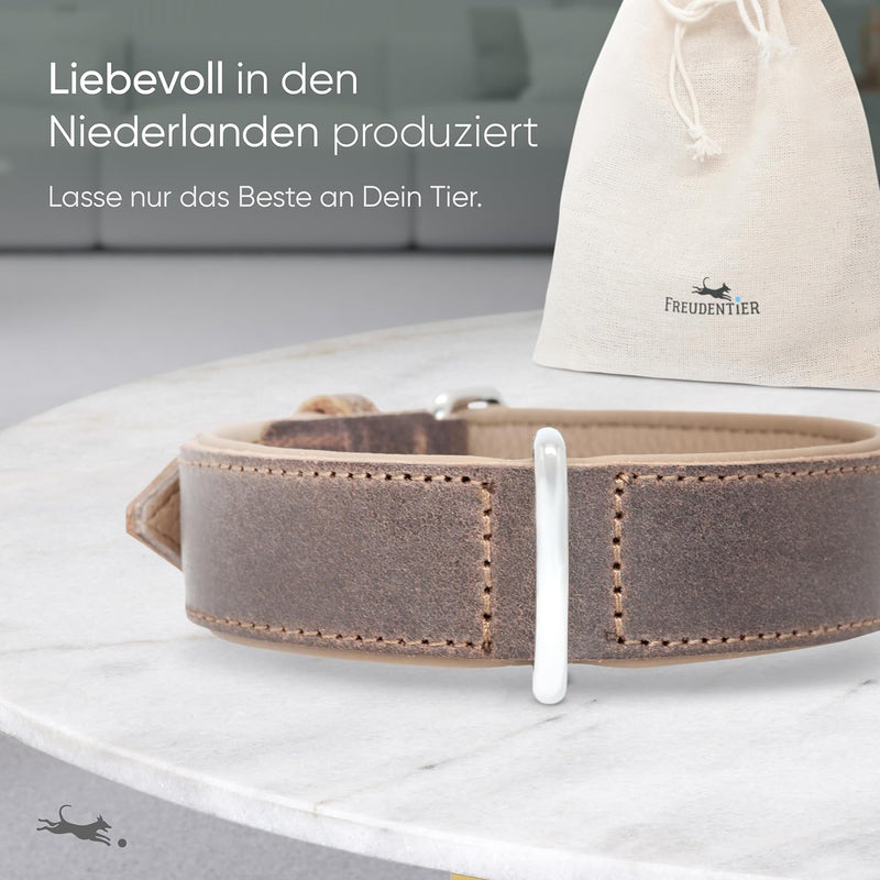FREUDENTIER Hundehalsband aus zertifiziertem Leder - Inkl. Geschenksäckchen - Gepolstert & super kom