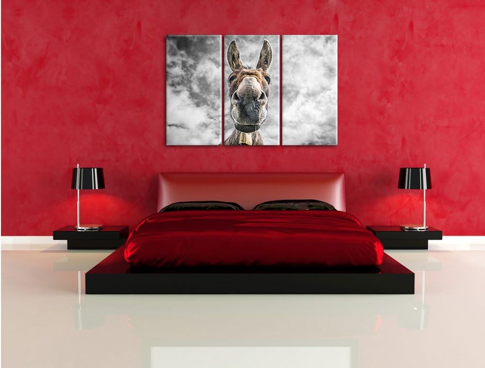Pixxprint Lustiger Esel als Leinwandbild | Grösse: 3 Teilig (120x80) | Wandbild| Kunstdruck | fertig