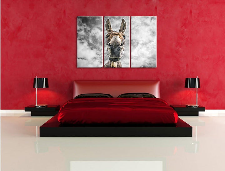 Pixxprint Lustiger Esel als Leinwandbild | Grösse: 3 Teilig (120x80) | Wandbild| Kunstdruck | fertig