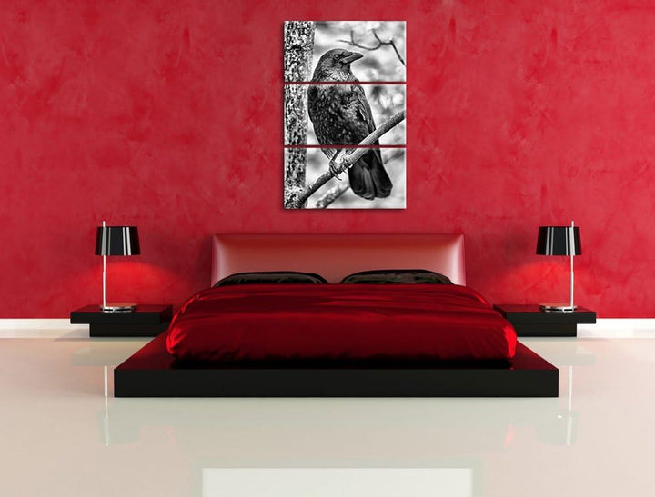 Pixxprint schwarzer Rabe auf AST als Leinwandbild/Grösse: 3 Teilig (120x80) / Wandbild/Kunstdruck/fe