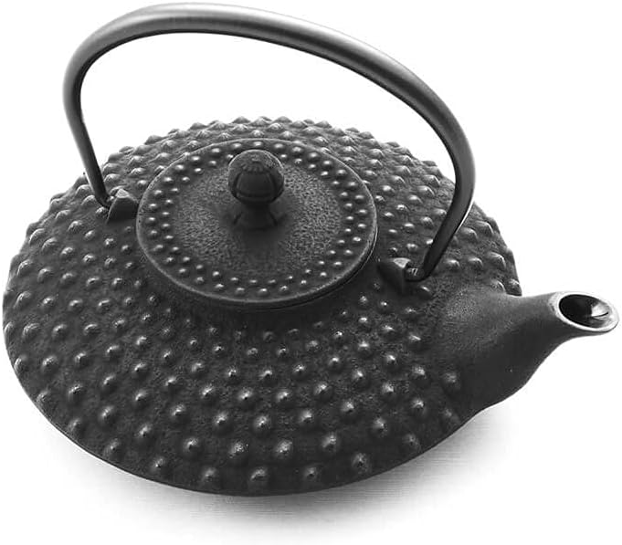 Iwachu Teekanne Gusseisen. Japanische Kyusu Hira Arare, Original, Schwarz 500ml, 0,5 Liter Sieb-Eins