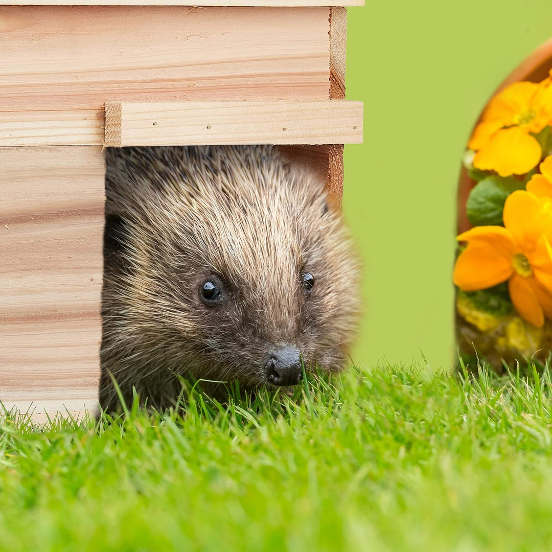 Relaxdays Igelhaus, Holz, Igelhotel mit Boden, katzensicher, Winterquartier für Igel Garten, HBT: 21