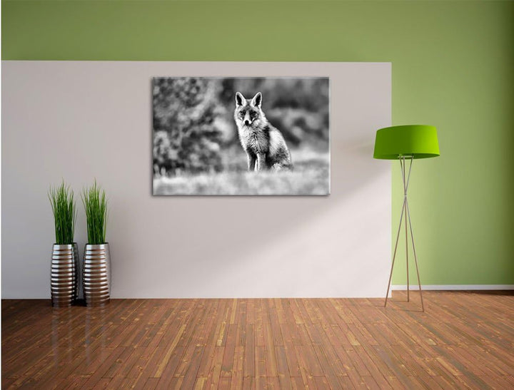 Pixxprint Listiger Fuchs als Leinwandbild/Grösse: 100x70 / Wandbild/Kunstdruck/fertig bespannt, 100x
