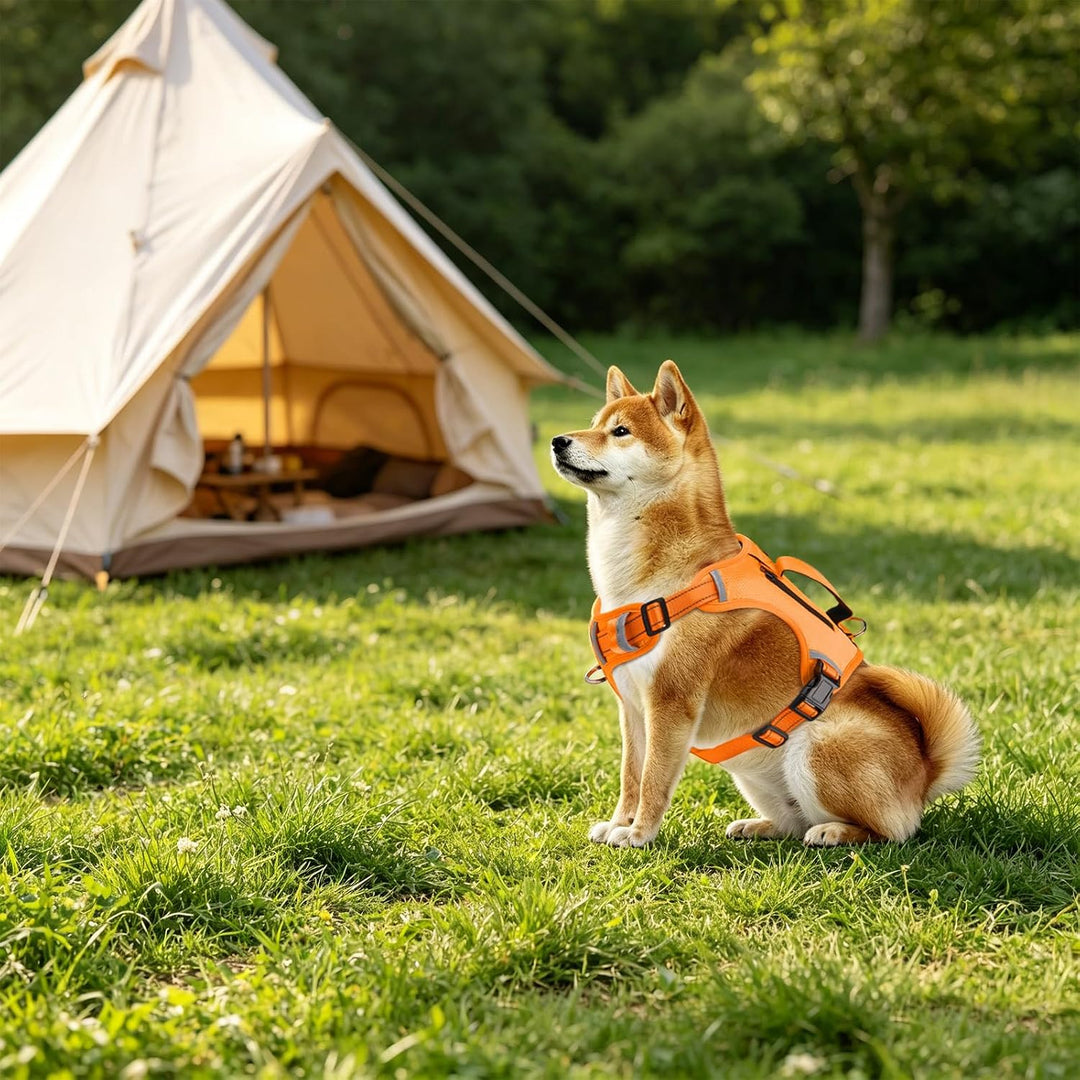 Leichtes verstellbares Hundegeschirr mit Reflektoren,4-Fach verstellbar | für aktive mittelgrosse Hu