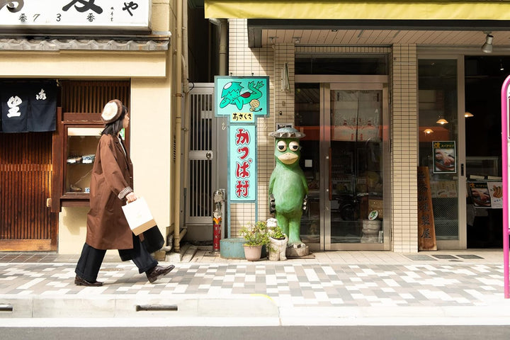 Tempura [FR Import], DVD