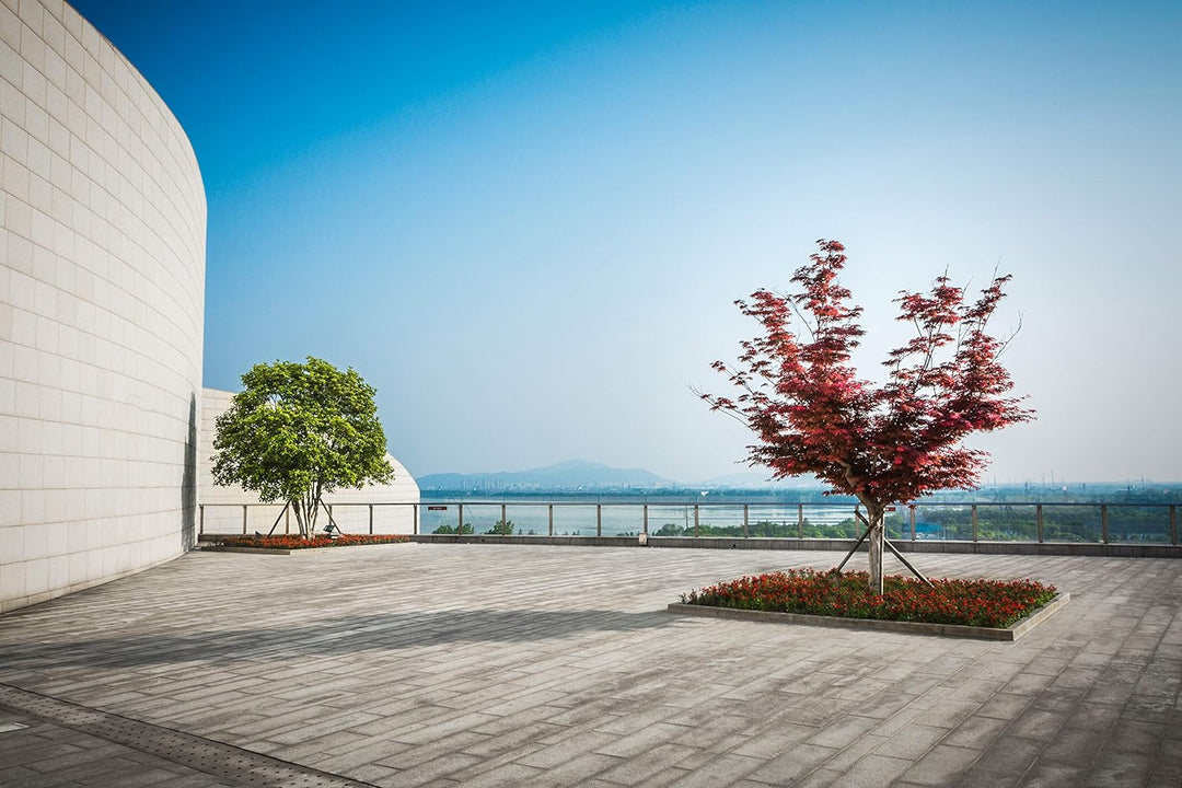 Plattenlager höhenverstellbar (4,0-6,9cm - 26 Stück) - Stelzlager für Terrassenplatten - Stellfüsse